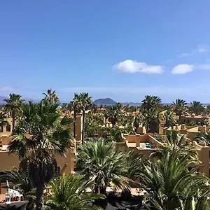 Oasis Papagayo Corralejo